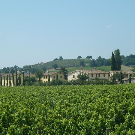 Agriturismo Villaggio Green モンテファルコ エクステリア 写真