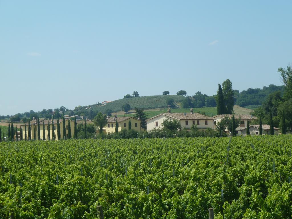 Agriturismo Villaggio Green モンテファルコ エクステリア 写真